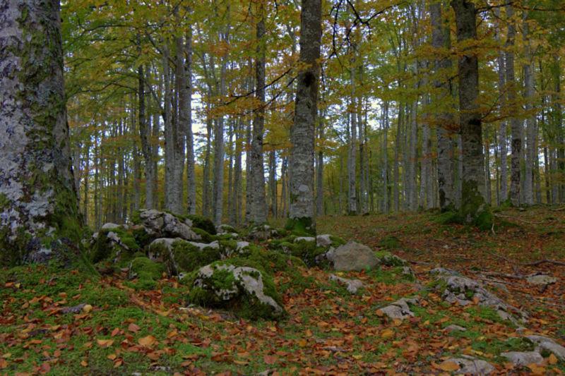 Hostal Rural Elosta Лекумберрі Екстер'єр фото